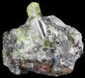 Apatite Crystals with Magnetite & Epidote - Durango, Mexico #64023-2